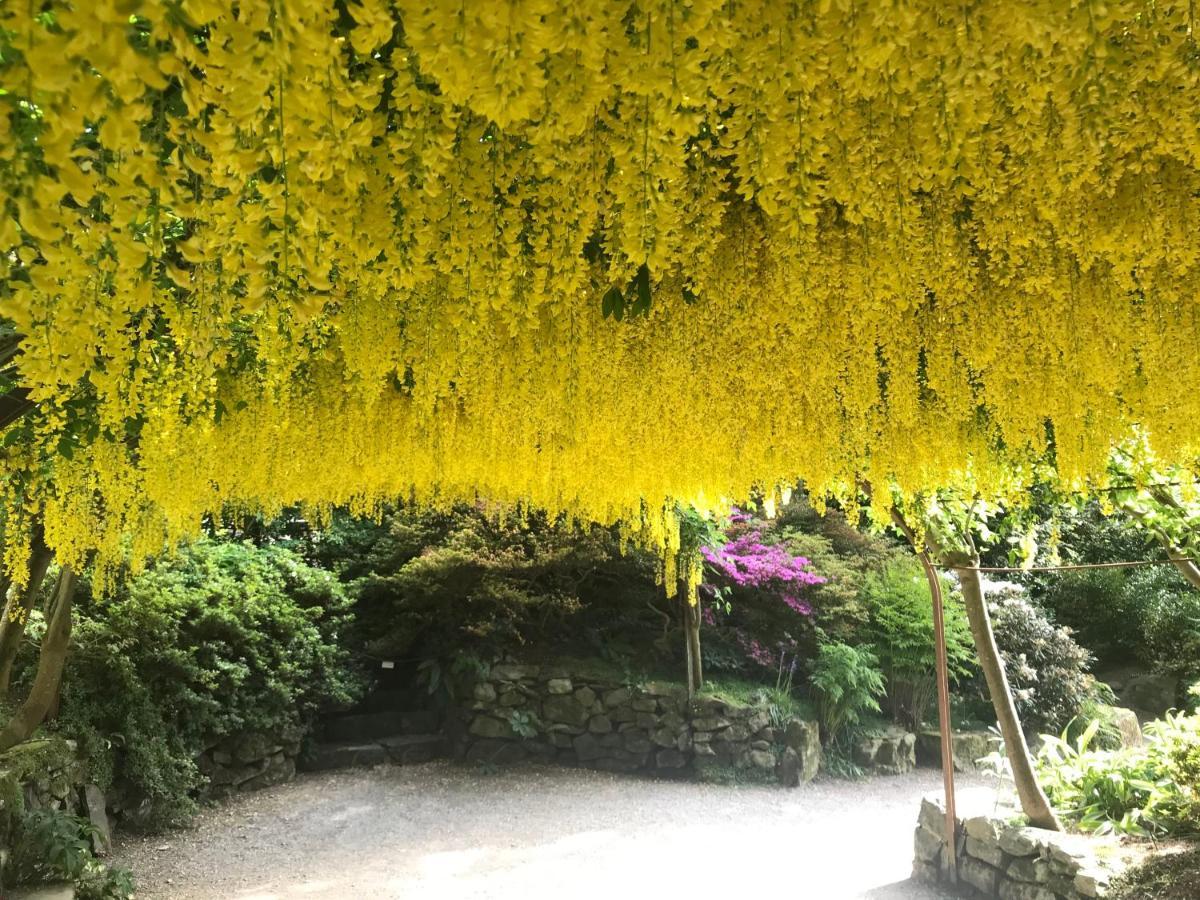 康威Y Llew Coch住宿加早餐旅馆 外观 照片
